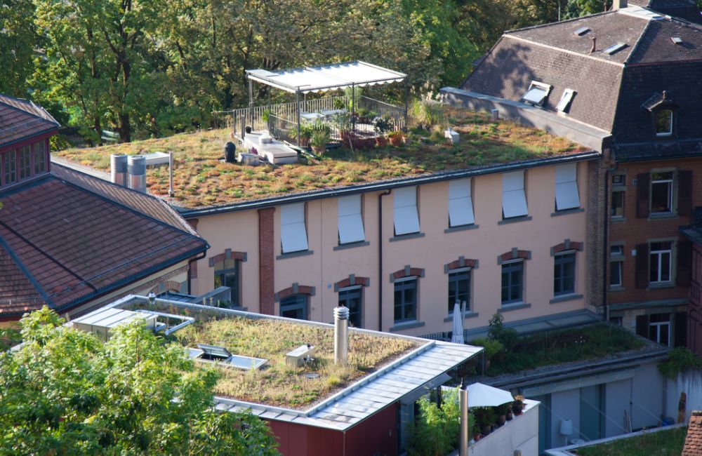 green-roof