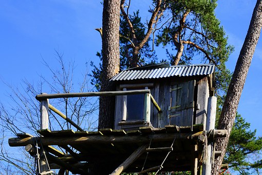 Building an Outdoor Space (Part 1): Treehouse
