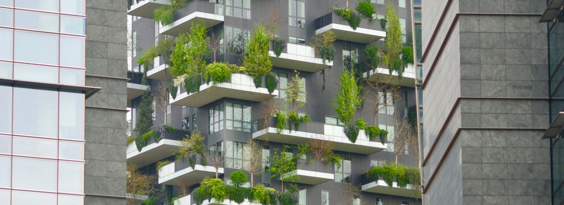 The Ridiculously Comprehensive Guide to Green Buildings